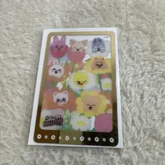 2026年最新】Straykids skzoo popup 2025 2nd特典トレカの人気アイテム