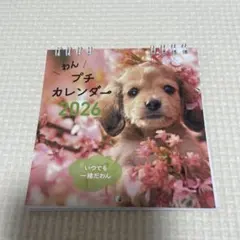 Item thumbnail for item ae0de9ab-c64a-4016-920f-a4ec3d1c6a0e