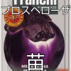 ペンちゃん様 リクエスト 2点 まとめ商品
