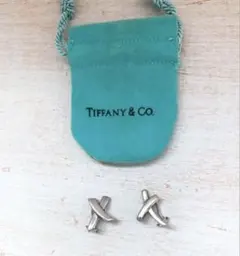 Tiffany & Co. Paloma Picasso X イヤリングのサムネイル