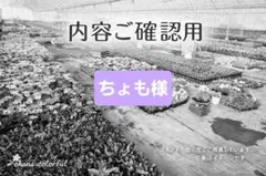 ちょも様嫁入りのサムネイル