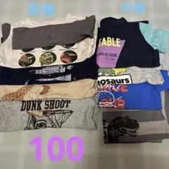 tシャツ 100サイズ まとめ売り　男の子　半袖　長袖　恐竜シュライヒ