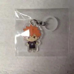 ハイキュー!! ふらっとめじるしアクセサリー 日向翔陽