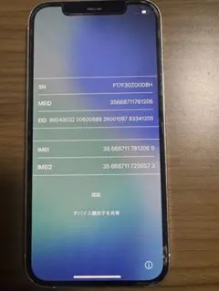 Apple iPhone12Pro 本体 初期化済み