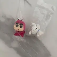 クレヨンしんちゃん　ほぺむにゅ！　ワニ山さんしんちゃん　シロ　ガチャガチャ　2点