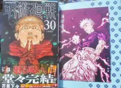 呪術廻戦　29巻　30巻　書店特典　五条悟　両面イラストカード