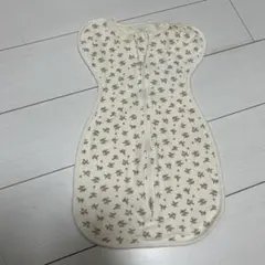 Item thumbnail for item 8a0fa251-40d6-4a7d-9efd-0667add5c8e7