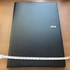 Item thumbnail for item b6edf65d-bcf7-4304-a133-a79ed9d0ca93