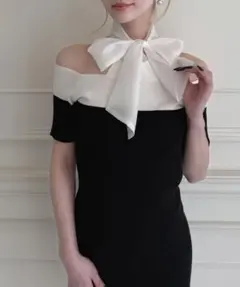 royal party ワンピース　ロイヤルパーティー