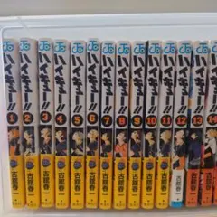 romex112専用　ハイキュー!! 　全巻セット　1〜45巻　ポストカードあり
