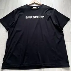 美品・現行タグ✨バーバリー 半袖Tシャツ ロゴプリント 黒 L - メルカリ