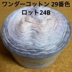 ワンダーコットン 29番色 1玉 毛糸 編み物 D1