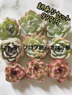 にゃろ☆プロフ読んでね☆様 リクエスト 2点 まとめ商品