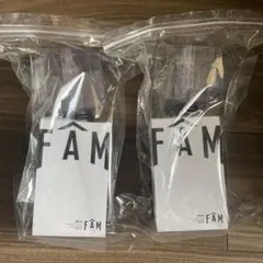 timelesz タイムレス FAM ペンライト 2個セット