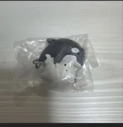 最安‼️須磨シーワールド　すみっコぐらし