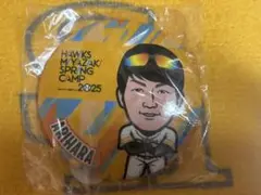 ホークス 17有原航平 宮崎キャンプ 若鷹ガチャ