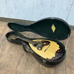 Item thumbnail for item a8dc3cb2-7be7-4a24-8902-74f7ac81b073