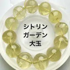 シトリン大玉 楽天市場】大玉 シトリンの通販