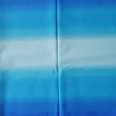 Item thumbnail for item 9564b9b7-cbcc-4974-8b20-6f2e1353bdd7