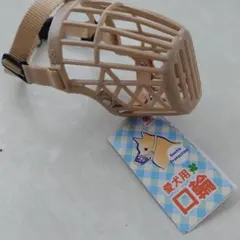 Item thumbnail for item 882d9249-5629-4f08-af3d-d54e8c1288c9