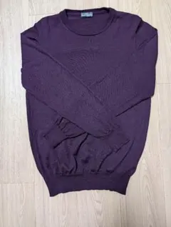ALESSANDRO LUPPI パープルクルーネックニット　ウール　46 紫