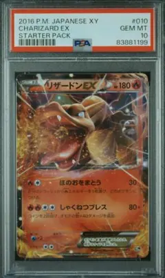 2025年最新】リザードン 20th psa10の人気アイテム - メルカリ