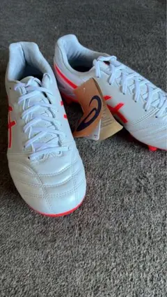 Item thumbnail for item 57149a5b-9d64-459d-93d8-3e52f72c1a60