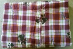 Item thumbnail for item dd861877-1d4c-431a-9a77-6858c58a0c8a