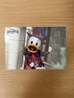 ディズニー ハロウィーン 2025 写真 ドナルド