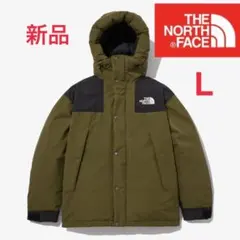専用です　ザ ノース フェイス アルティメットダウンジャケット L
