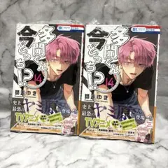 多聞くん今どっち!? 14巻 新品 漫画 コミック 単行本 シュリンク付き