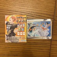 ハイキュー!! ステータスカードコレクション アクリル製カード 西谷