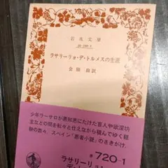 ラサリーヨ・デ・トルメスの生涯