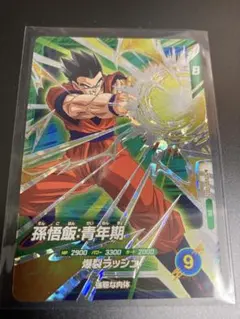 ドラゴンボール スーパーダイバーズ SDVBS-002 孫悟飯：青年期