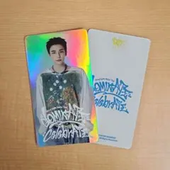 straykids スペシャル トレカ ヒョンジン celebrATE グッズ