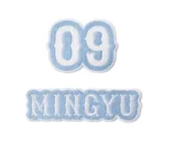 2026年最新】seventeen ワッペンの人気アイテム - メルカリ