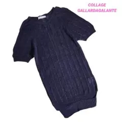 COLLAGE GALLARDAGALANTE 麻ブレンド半袖ニット 85425