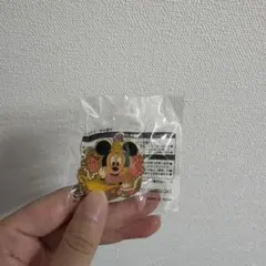 ディズニーシー アブーズバザール ピンバッジ ミニー