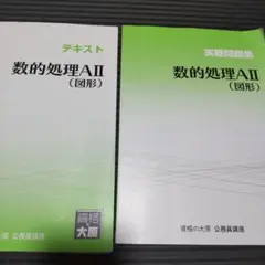 数的処理AII（図形）テキスト＆問題集