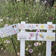 ガーデンピック(多肉植物)デコパージュ 多肉 エケベリア サボテン 寄せ