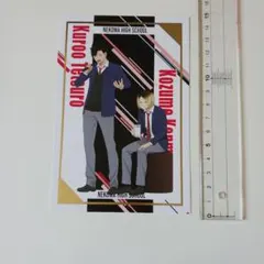 【ハイキュー】黒尾・孤爪 まねきねこ ポストカード