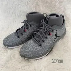 NIKE ナイキJORDAN TRAINER 1 Lowグレー　27㎝　刺繍のサムネイル