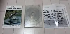 2026年最新】サカナクション 魚大図鑑の人気アイテム - メルカリ