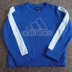 Item thumbnail for item 1510c669-b1d8-49f9-831e-8ecd1a594d82