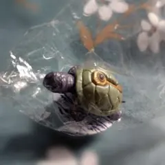 ジョジョの奇妙な冒険 第5部 キャラヒーローズ ココ・ジャンボ 亀