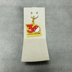 ポケチャーム ビリリダマ