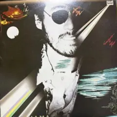 激レアDJ Shadow 12インチレコード Midnight - メルカリ