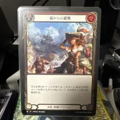 Flesh and Blood 嵐からの避難 HNT222