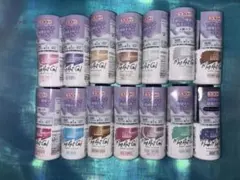 Parikoi マグアートジェル 14本セット 新品未使用