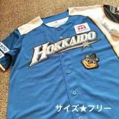 北海道日本ハムファイターズ　日ハム　ユニフォーム　BBアップリケ（2種セット）